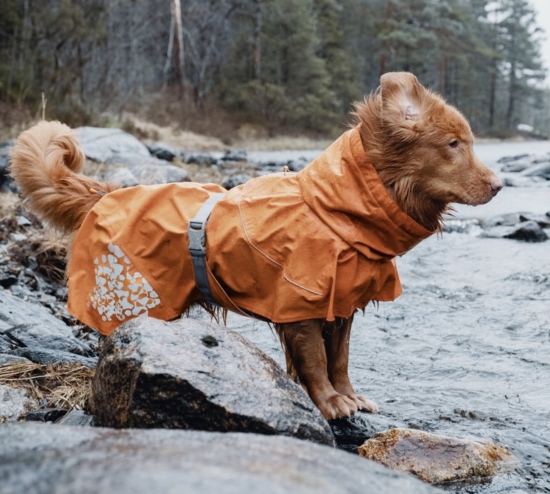 Hurtta Hunde-Regenmantel Monsoon coat orange